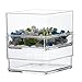 STORi Clear Plastic Desk Drawer Organizers | 6 Piece Set
