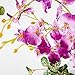 Imiee Artificial Phaleanopsis Arrangement with Vase Decorative Orchid Flower Bonsai (Light Purple)