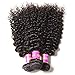 UNice Hair Icenu Series Brazilian Curly Virgin Hair 3 Bundles with 4x4 Lace Closure 100% Unprocessed Human Hair Extensions Weave Natural Color (10 12 14+10, Free Part Lace Closure)