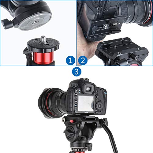 Avella V501 Video Camera Tripod Fluid Drag Pan Head for Canon Nikon Sony Olympus Panasonic DSLR Camera, with 3/8" and 1/4" Mounting Screw - Thumbnail 3