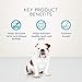 Blue Buffalo Dental Bones Large Natural Dental Chew Dog Treats Bag