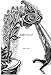 Jazz Owls: A Novel of the Zoot Suit Riots