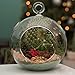 7-Inch Large Clear Glass Hanging Air Plant Terrarium Ball/Votive Candle Holder w/Flat Base & Loop Hook