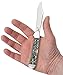 Case Abalone Copperlock Pocket Knife