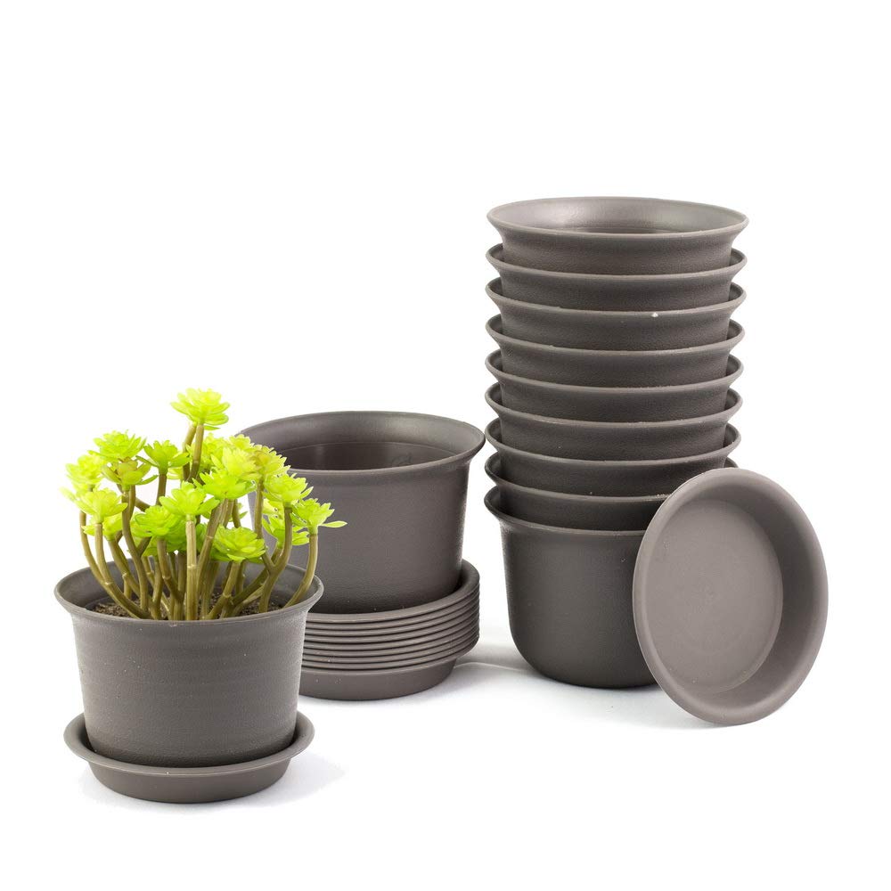 Truedays Set of 6 Multicolored Circle Flower Plant Pots/Planters with