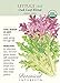 Lettuce Leaf Oak Leaf Blend Certified Organic Seed