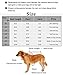 Dog Shirts Clothes, Chol&Vivi Dog Clothes T Shirt Vest Soft and Thin, 2pcs Blank Shirts Clothes Fit for Extra Small Medium Large Extra Large Size Dog Puppy, 2X-Large Size, Black and Grey