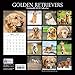 2019 Wall Calendar - Golden Retriever Calendar, 12 x 12 Inch Monthly View, 16-Month, Dogs and Pets Theme, Includes 180 Reminder Stickers