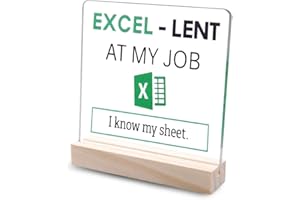 Funny Accountant Plaque Gifts Spreadsheet Excel Table Decor Decoration Sign Auditor Finance Banker Data Analyst Marketing Spe