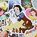 100Pack Different Cartoon Princess Themes Stickers Snow White Princess Anna Sticker Decals for Water Bottle Laptop Cellphone Bicycle Motorcycle Car Bumper Luggage Travel Case. Etc (Cartoon Princess)