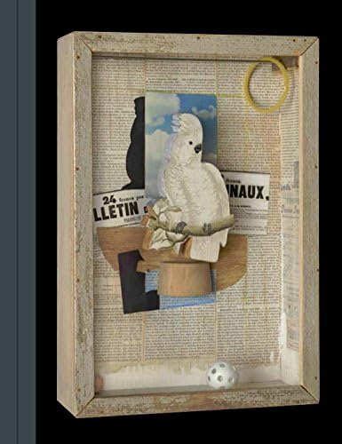 Joseph Cornell's Theater of the Mind: Selected Diaries, Letters