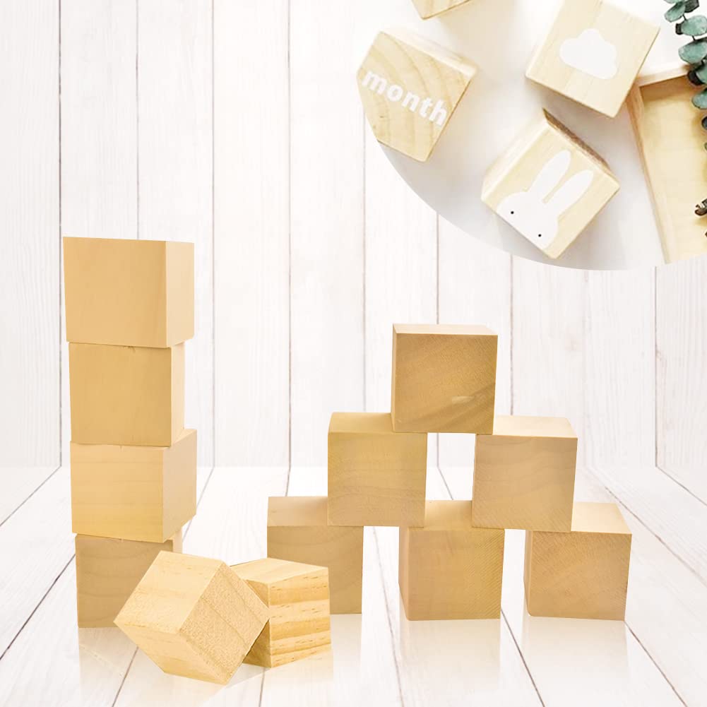 BUENTYA 12 Pcs Basswood Wood Carving Blocks,5 x 5 x 5cm Large Wooden Cubes Natural Whittling Blocks Unfinished Smooth Wooden Cubes for DIY Carving, Shaping, Painting, Creative Wood Craft(2*2*2 inch)