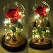 Emyln Beauty and The Beast Rose, Enchanted Rose Flower with 10 LED USB Lights in Glass Dome on a Wooden Base for Lover, Weddings, Anniversaries, (Red) 