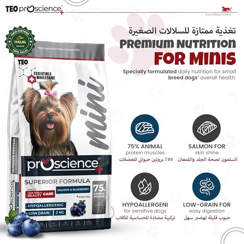 Teo Premium Proscience Mini Adult Dog Food 2KG Salmon & Blueberry, Hair, Skin & Coat Care, 75% Animal Protein, Hypoallergenic, Omega-Rich Formula 32% Protein 15% Fat