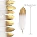 Coceca 55PCS Gold Dipped Natural White Feathers for Various Crafts, Birthday Parties, Wedding and Party Dress-ups