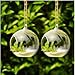 Set of 18pcs 3.15 inches Hanging Tealight Candle Holder Glass Globes DIY Plants Terrarium Wedding Home Decorations…