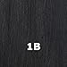 ISIS BROWN SUGAR Human Blended Full Wig - BS120 (1B - OFF BLACK)