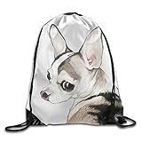 Pet Painting Pulling-knapsack Backpack Sport Gym