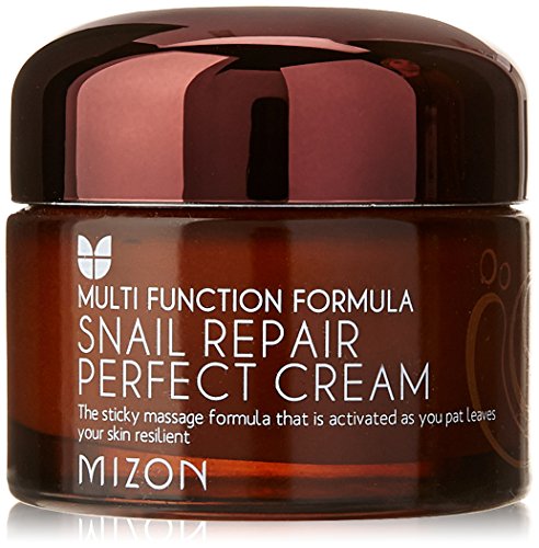 MIZON Snail Repair Perfect Cream, Snail Mucin, Niacinamide, Phyto Mucin, Adenosine, Deep Hydration, Wrinkle-care, Nutrition, Paraben Free, Korean Skin-care (50ml 1.69 fl oz)