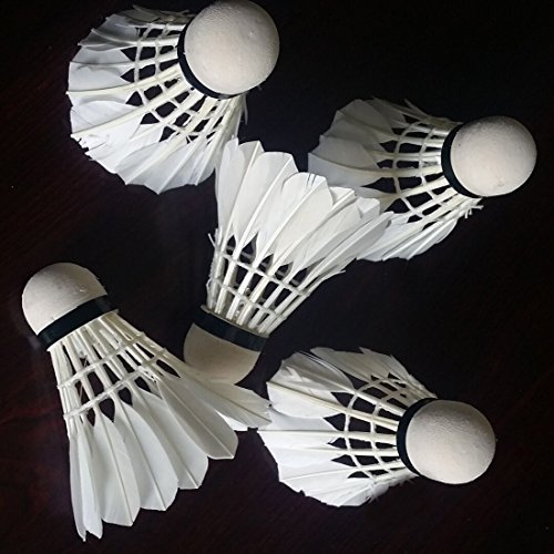 Bringsine 4pcs LED Badminton Shuttlecock Dark Night Glow Birdies Lighting for Indoor Sports Activities-Color