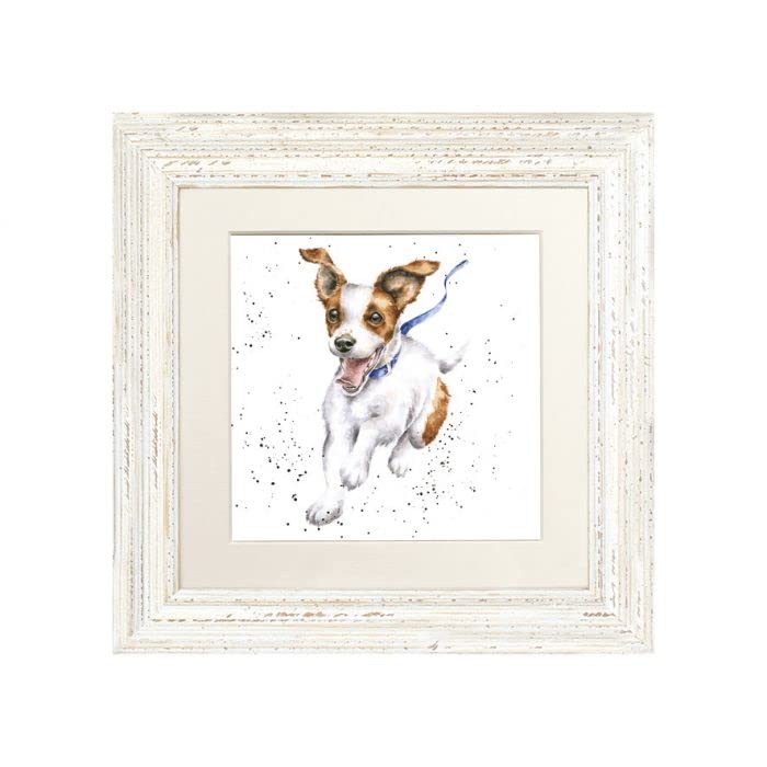 Wrendale Designs Jack Russel Dog Framed Picture in Wood Frame Freedom (White)