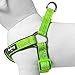 Blueberry Pet Soft & Comfy 3M Reflective Step-in Pastel Color Padded Dog Harness, Chest Girth 23.5