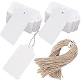 SallyFashion 100PCS Kraft Paper Tags, 2X4 Inches White Gift Tag Craft Hang Tags with Free 100 Root Natural Jute Twine for Gifts Arts and Crafts Wedding Holiday