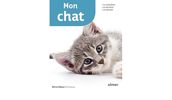 Mon Chat Mini Maxi Gollmann Birgit Lelong Caroline Amazon Es Libros
