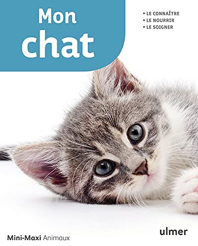 Mon Chat Mini Maxi Gollmann Birgit Lelong Caroline Amazon Es Libros