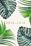 2018 - 2019, 18 Month Weekly & Monthly Planner: Ferns, Daily, Weekly, Monthly, January 2018 - June 2019 by Creative Notebooks