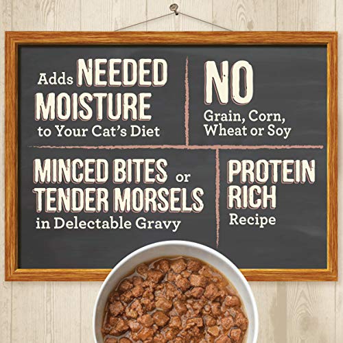 Merrick Purrfect Bistro Grain Free Wet Cat Food Variety Pack Family