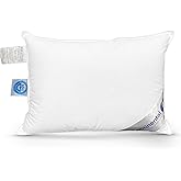 Continental Bedding Child Pillow - Firm 550 White Down Fill Soft Pillow for Sleeping, Plush Kids Pillow, Machine Washable - Pillow (13x18 Inch)