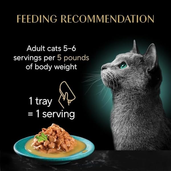 SHEBA GRAVY INDULGENCE ADULT WET CAT FOOD, BEEF ENTRÉE AND CHICKEN ENTRÉE VARIETY PACK, 2.64 OZ.
