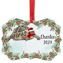 Hermann's Tortoise Christmas Ornament 2024