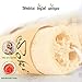 Natural Loofah Sponge - Exfoliating Body Scrubber for Shower Scrubbing, Organic Luffa Sponges, Egyptian Real Loofa, Bath Shower Puff for Bathing, Spa, Massaging Daily Skin Cleansing Care