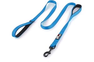 Plutus Pet Dog Leash 6ft Long,Traffic Padded Two Handle,Heavy Duty,Reflective Double Handles Lead for Control Safety Training,Leashes for Large Dogs or Medium Dogs,Dual Handles Leads(Light Blue)