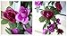 Meiliy 2 Pcs 8.2 FT Fake Rose Vine Flowers Plants Artificial Flower Home Hotel Office Wedding Party Garden Craft Art Decor, Purple