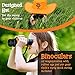 Adventure Kids - Outdoor Explorer Kit, Children Binoculars, Flashlight, Compass, Magnifying Glass, Butterfly Net & Backpack. Toys Kids Gift for Boys & Girls Age 3 4 5 6 7 Year Old Camping Educational