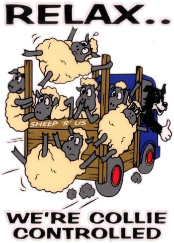 Relax.. We're Collie Controlled -Funny Sheep Car Sticker SH05