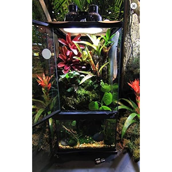 zoo med reptihabitat aquatic turtle kit