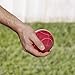 Amazon Basics Bocce Ball Set with Soft Carry Case