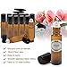 Mavogel Glass Roll-on Bottles - 10ml, 12 Pack, Amber, Extra Stainless Steel Roller Balls, Essential Oil Opener, Droppers, and Labels Included
