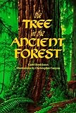 The Tree in the Ancient Forest