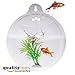 PMLAND Wall Mounted Acrylic Fish Bowl