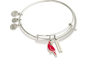 Alex and Ani Strength' Cardinal Duo Charm Bangle Bracelet