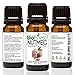 BioFinest Nutmeg Oil - 100% Pure Nutmeg Essential Oil - Relieve Muscle Pain, Swelling, Inflammation - Premium Quality - Therapeutic Grade - Best For Aromatherapy - FREE E-Book (10ml)