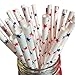 Just Sip It Biodegradable Vintage Paper Drinking Straws, Red and Blue Stars, Pack of 50