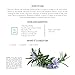 Artnaturals Rosemary Essential Oil (4.0 Fl Oz / 118ml) - 100% Pure Rose Mary Oils - Therapeutic Grade Best for Hair Growth, Natural Healing Solution, Aromatherapy & Diffuser