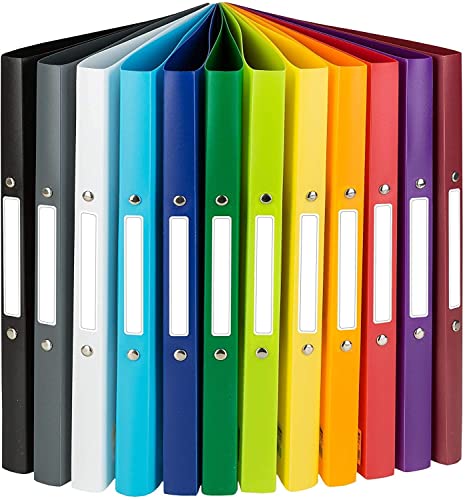 Idena 10426 Ring Binder DIN A4 2 Ring Mechanism 20 mm Wide Set of 12 Colours