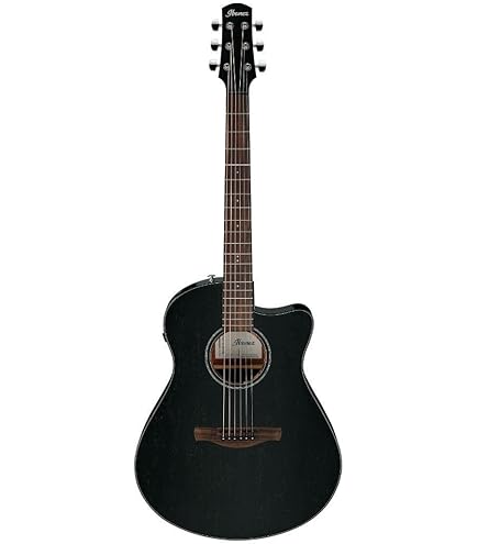 Amazon.com: Ibanez PA230E Acoustic-Electric Guitar - Natural Satin